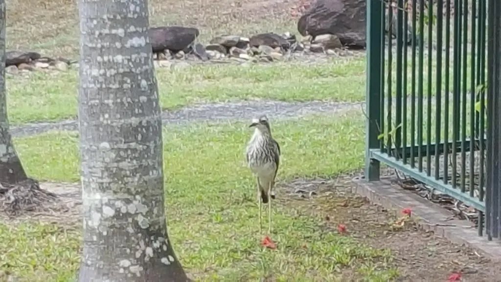 Mountain View Villas Port Douglas 0*,