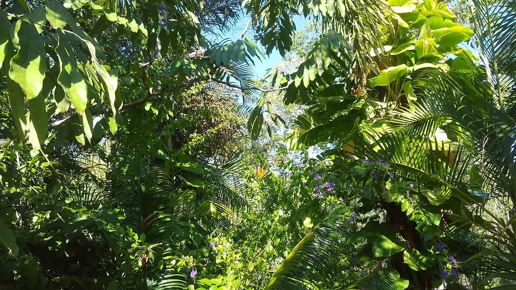 Mountain View Villas Port Douglas